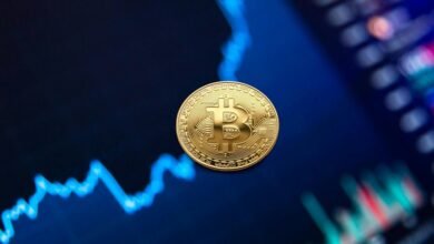 mid cap value fund
