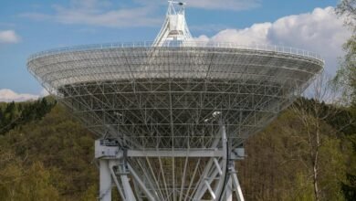 telecommunication contact numbers provided