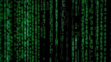 corporate data report issued