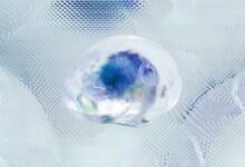 data profile identifiers listed