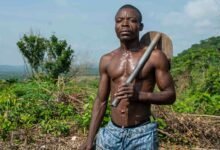 digital tools for growth