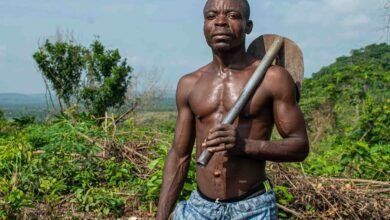 digital tools for growth