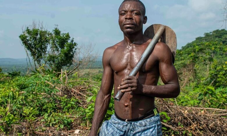 digital tools for growth