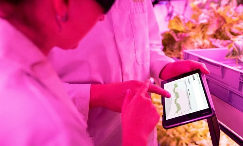 growth through digital tools