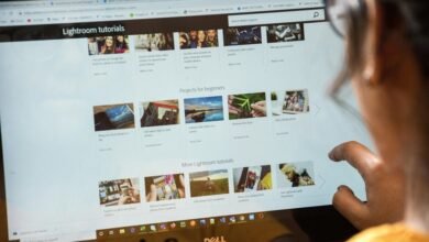 reliable online platform guide details